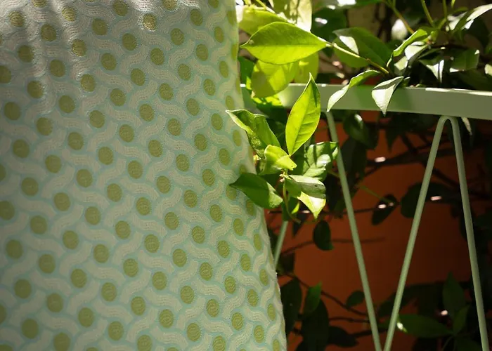 Hotel Degli Aranci Roma